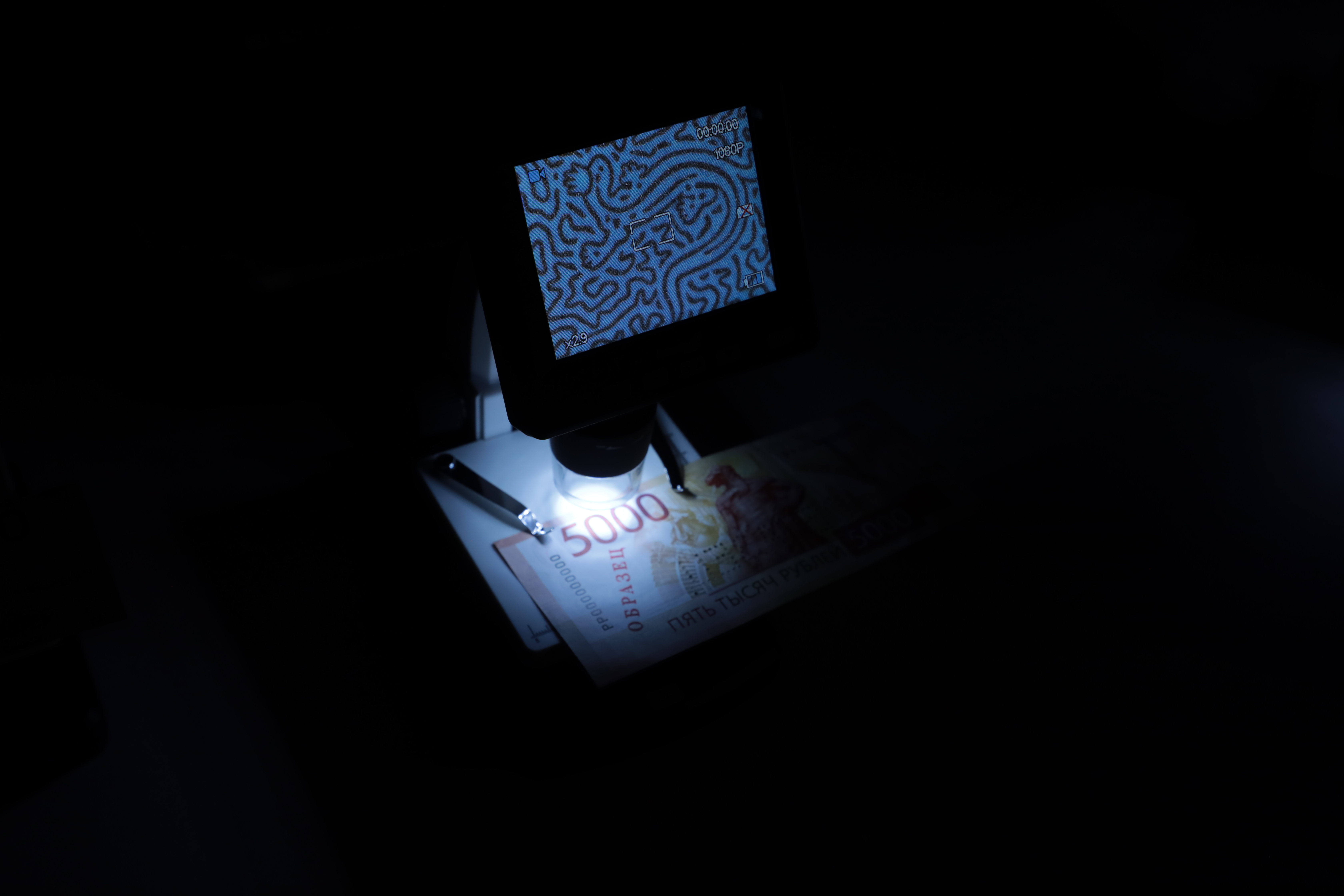 Тайные обитатели: животный мир на банкнотах